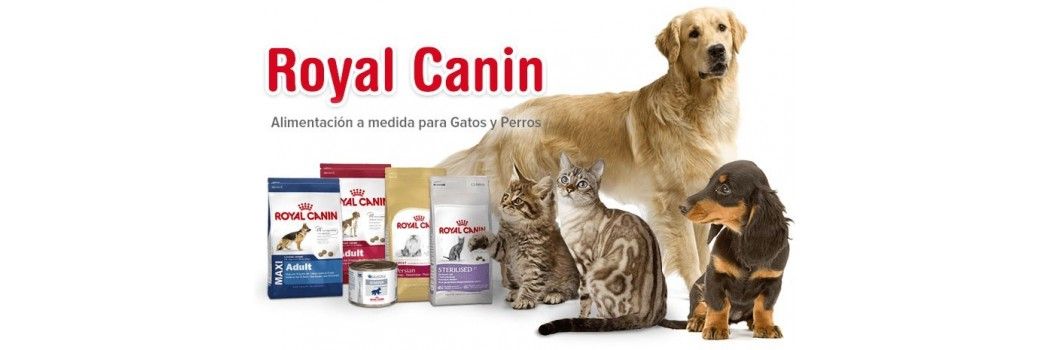 Ração Royal Canin para cães