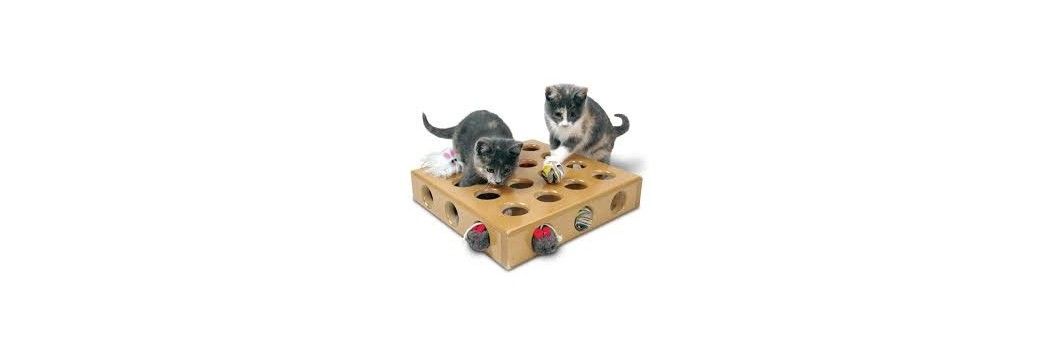 Brinquedos para gatos: ratos, canas e Kongs